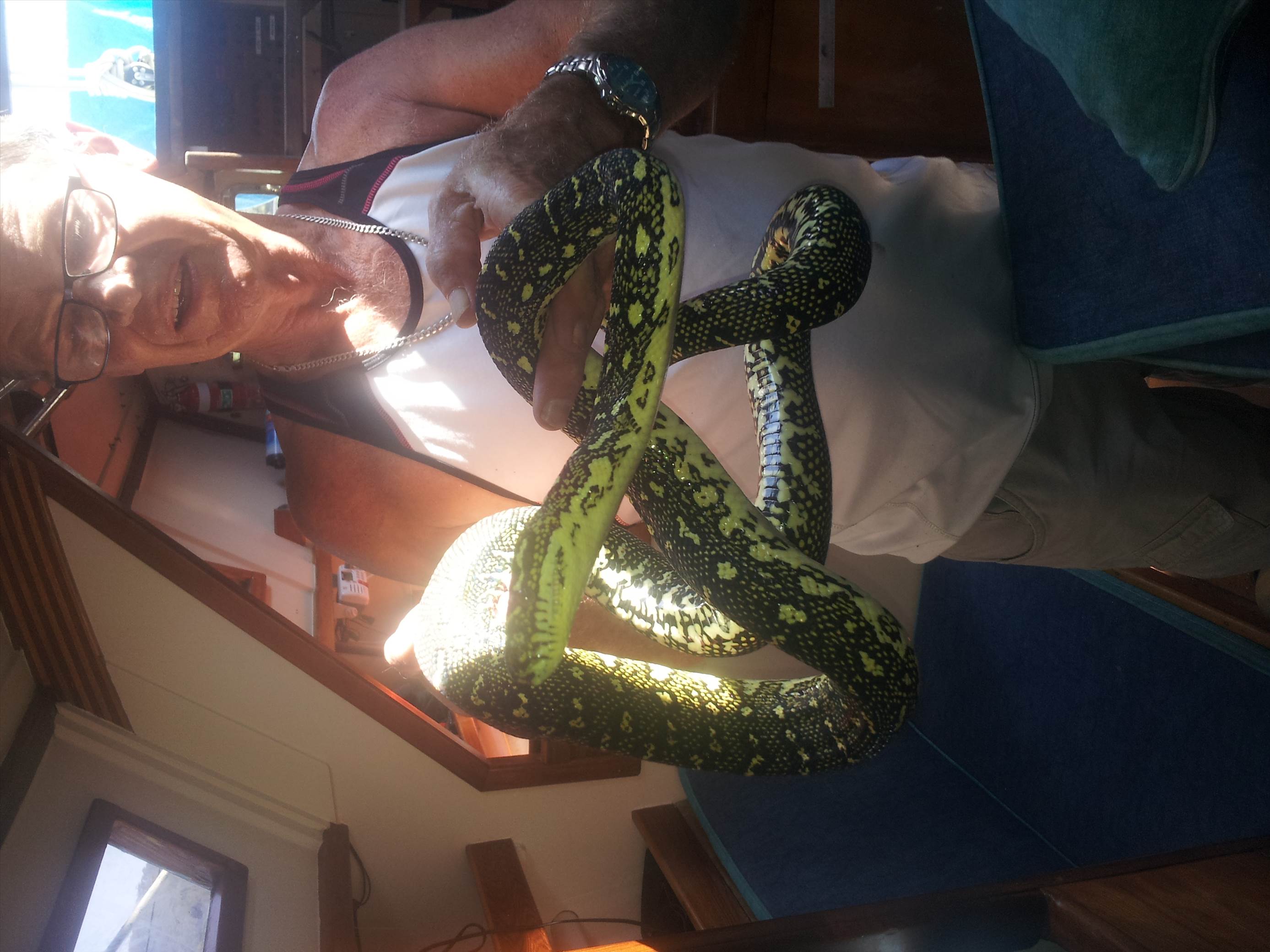 Snake on a Boat