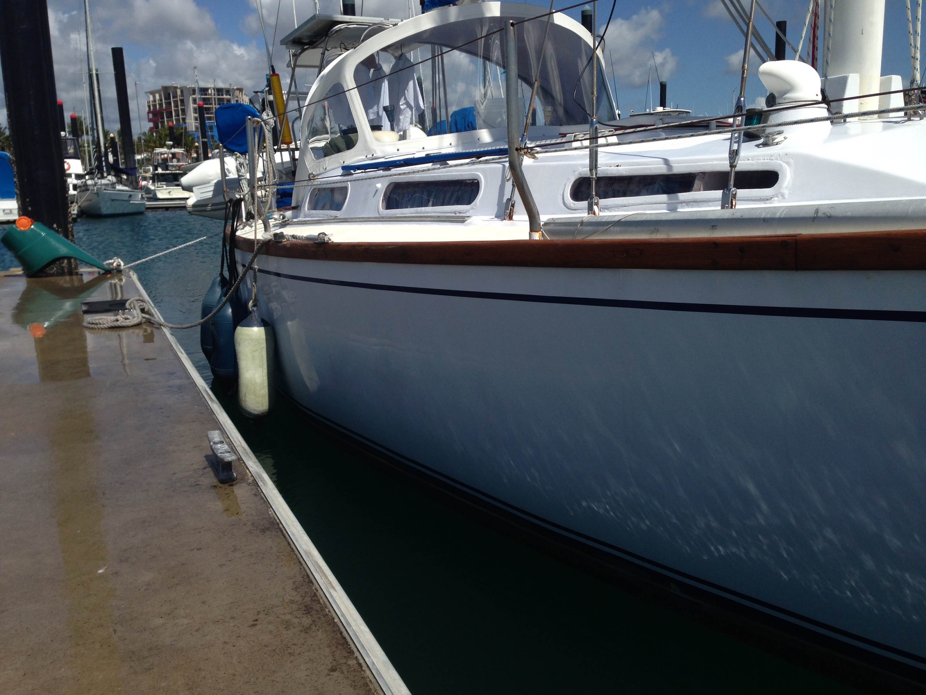 Adams 35