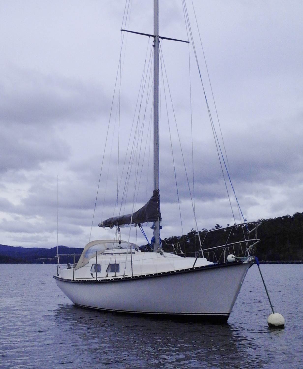 Pic 0411 055