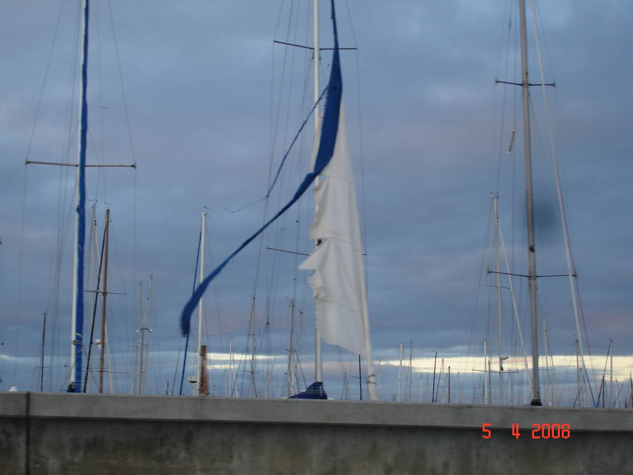 DSC03533