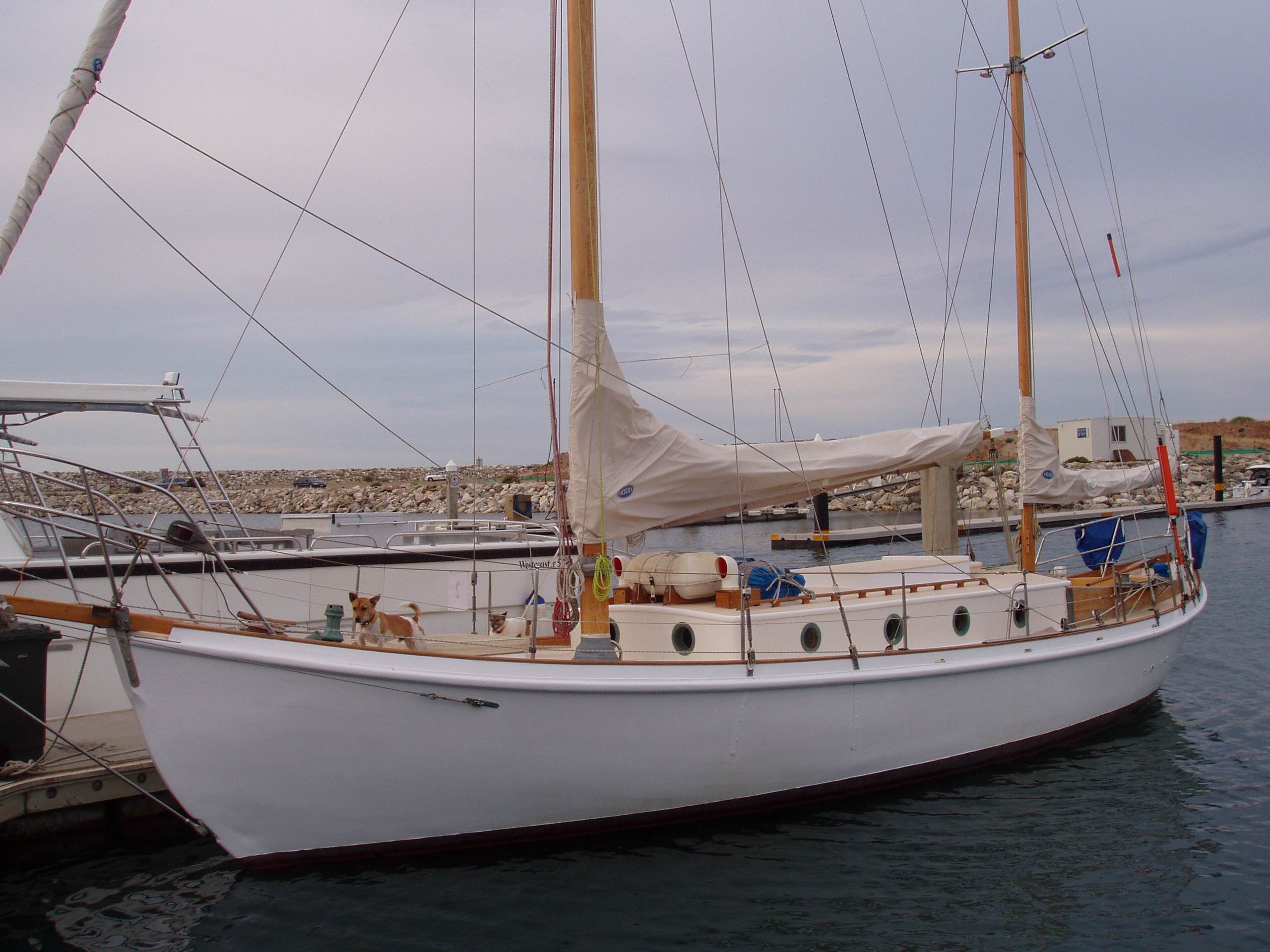 Setanta (Formerly named Christine)