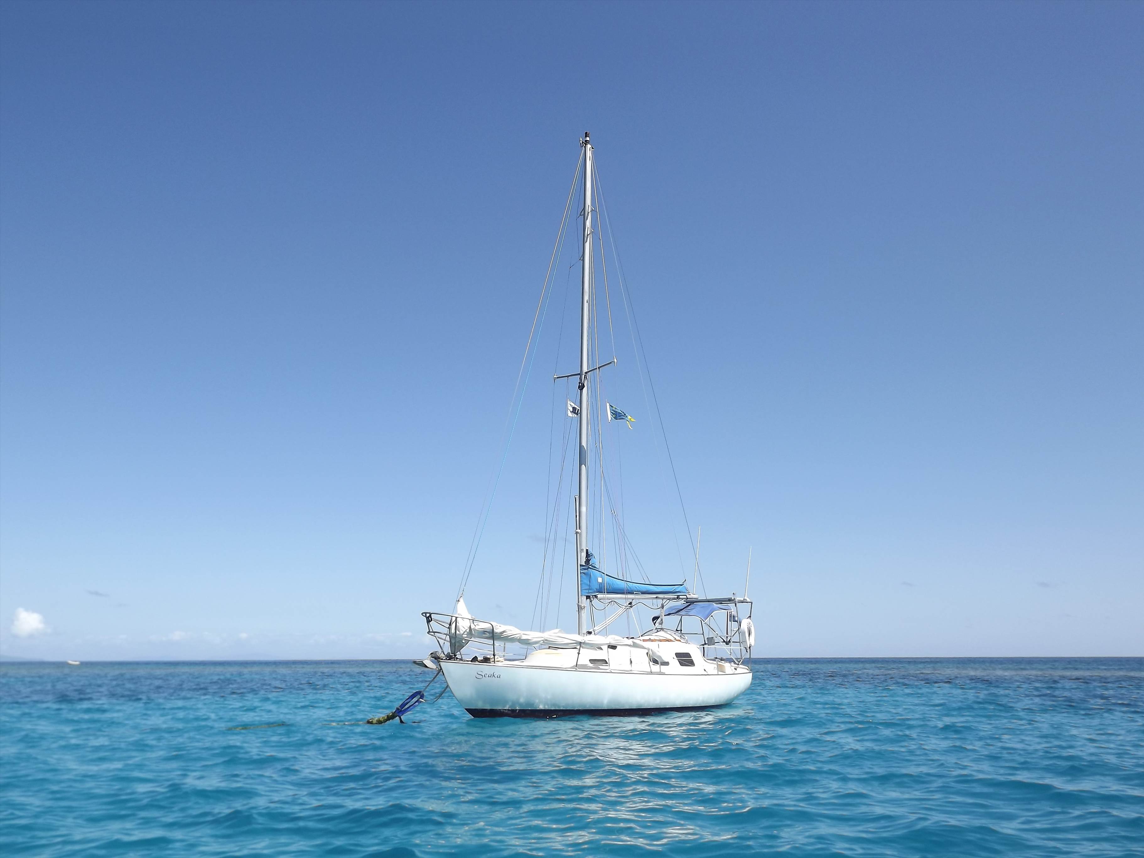 Seaka at Bait Reef