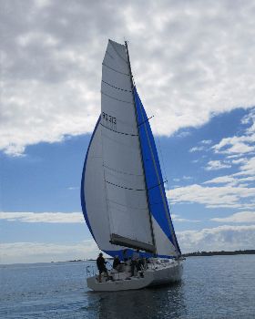 Shags Boat