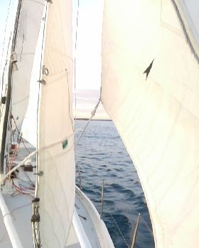 adams  40
