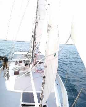 40foot Adams
