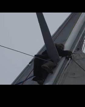 Sailing