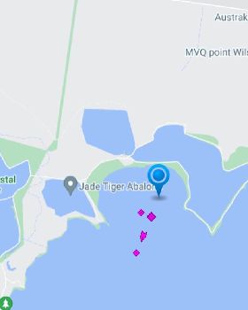 Screenshot20230304-135629MarineTraffic