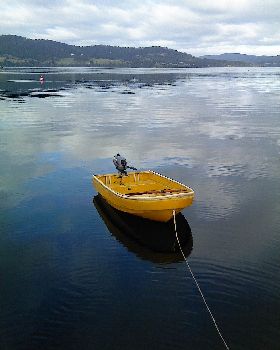 Sailing