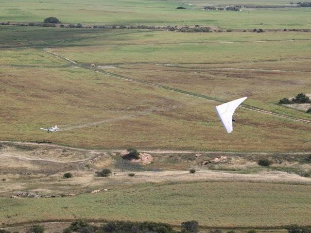 Dog fight with a crop duster