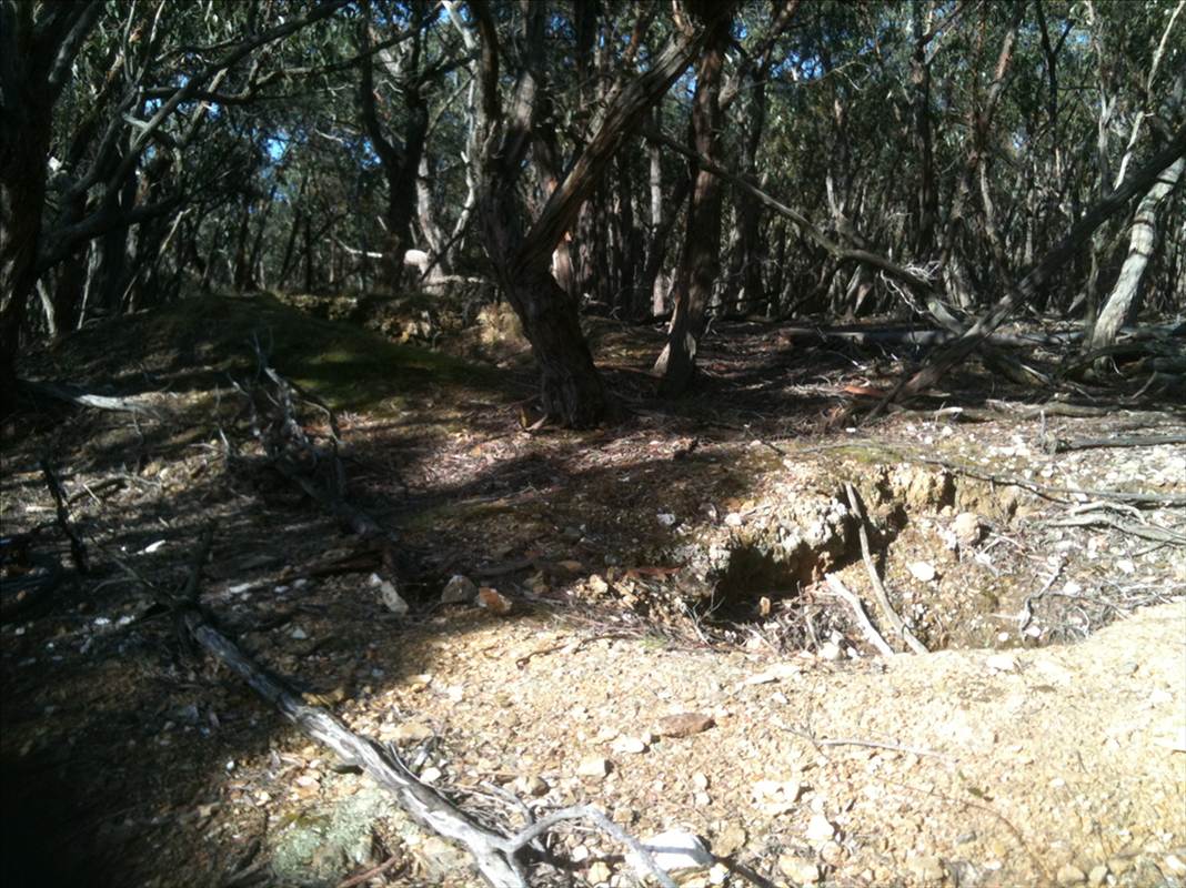 diggings