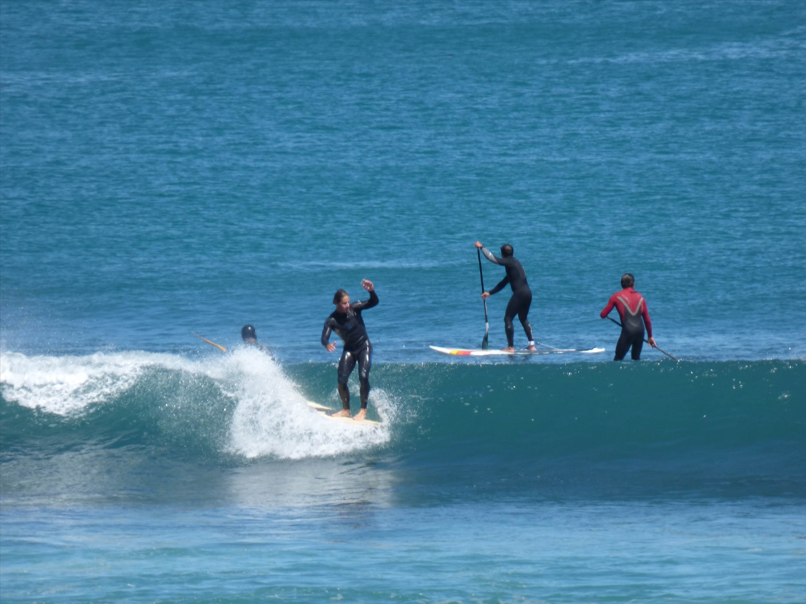 6/10/2015 Surfs up