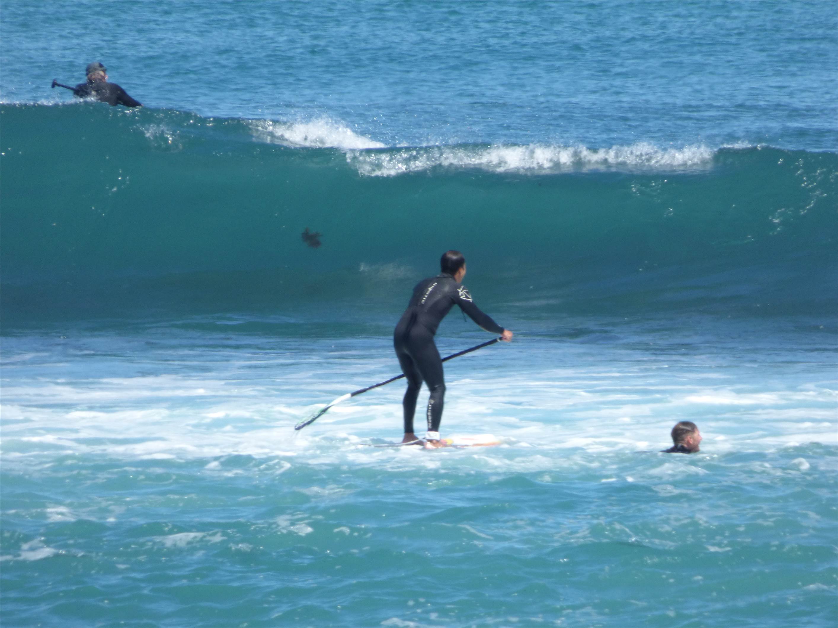 6/10/2015 Surfs up