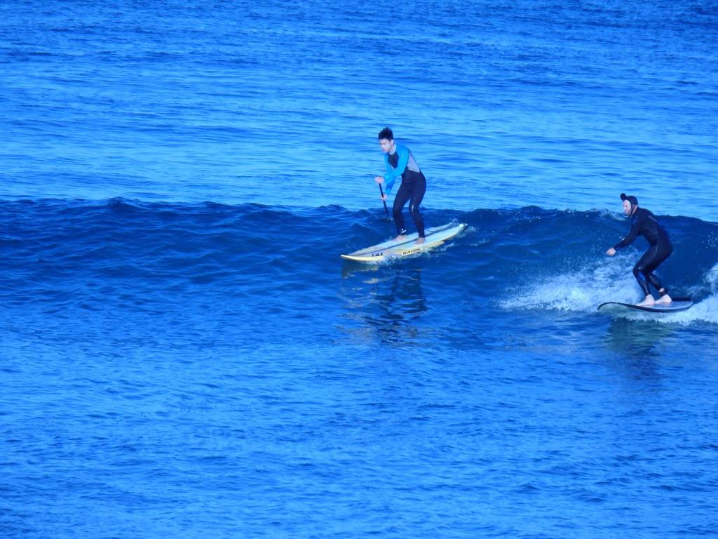 Surfs Up 2
