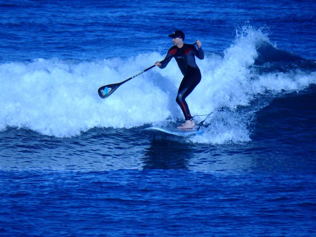 Surfs Up 2