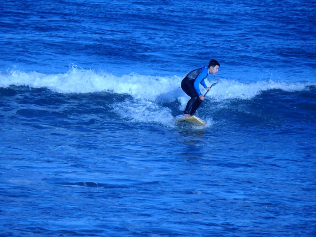 Surfs Up 2