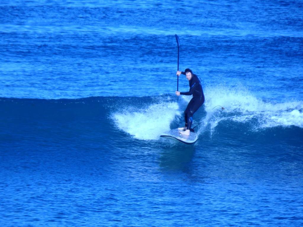 Surfs Up 2