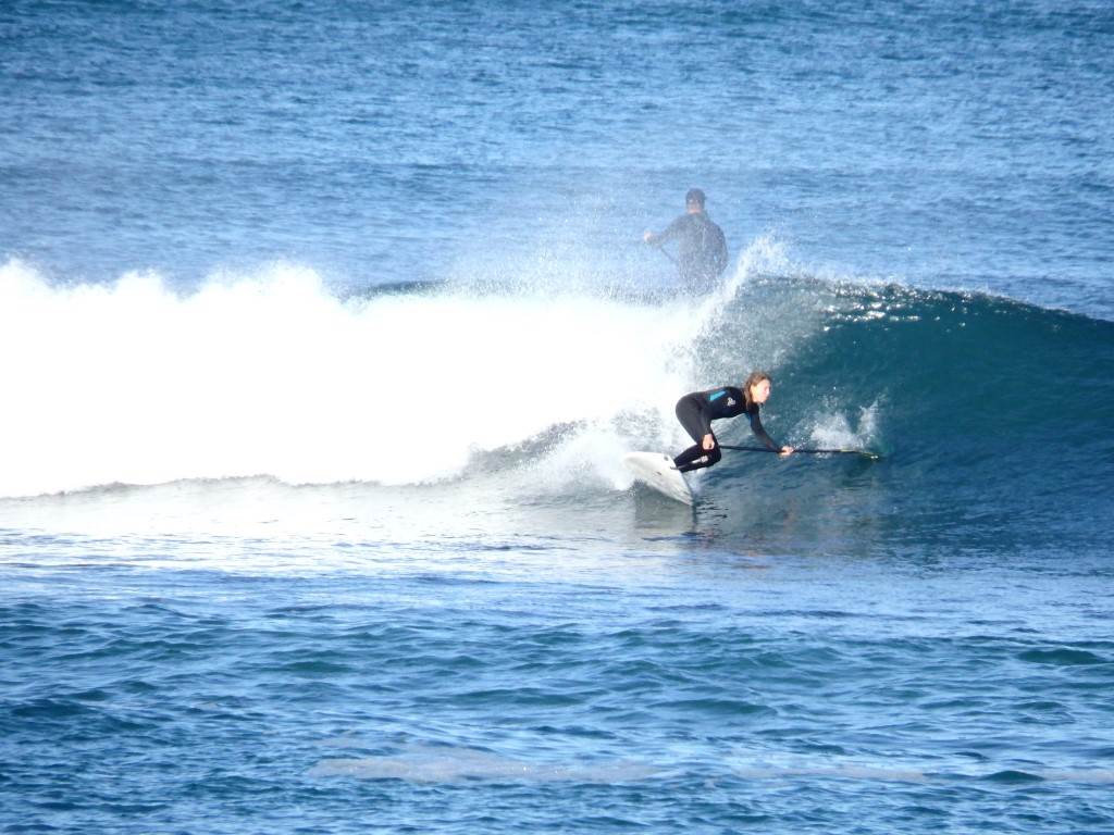 Surfs Up 2