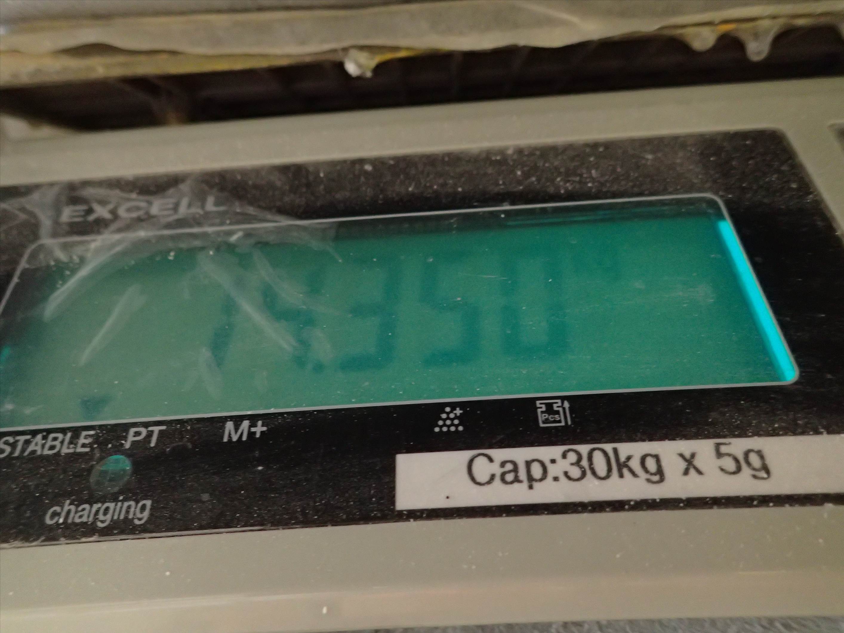 PB060002 (1)