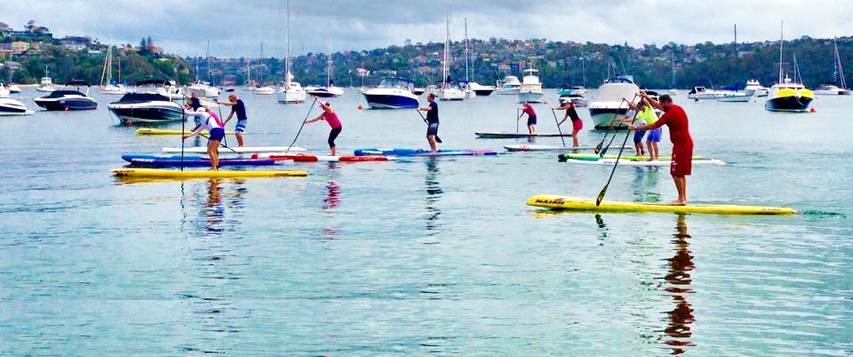 kelly Clinic paddle
