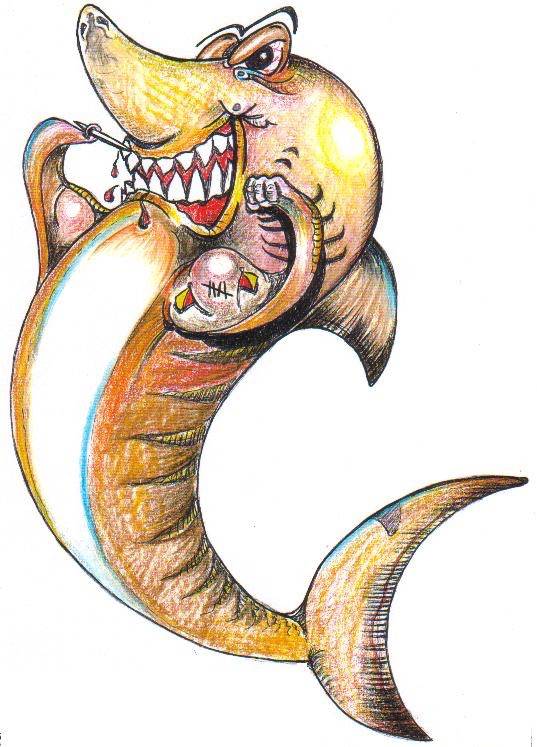 shark