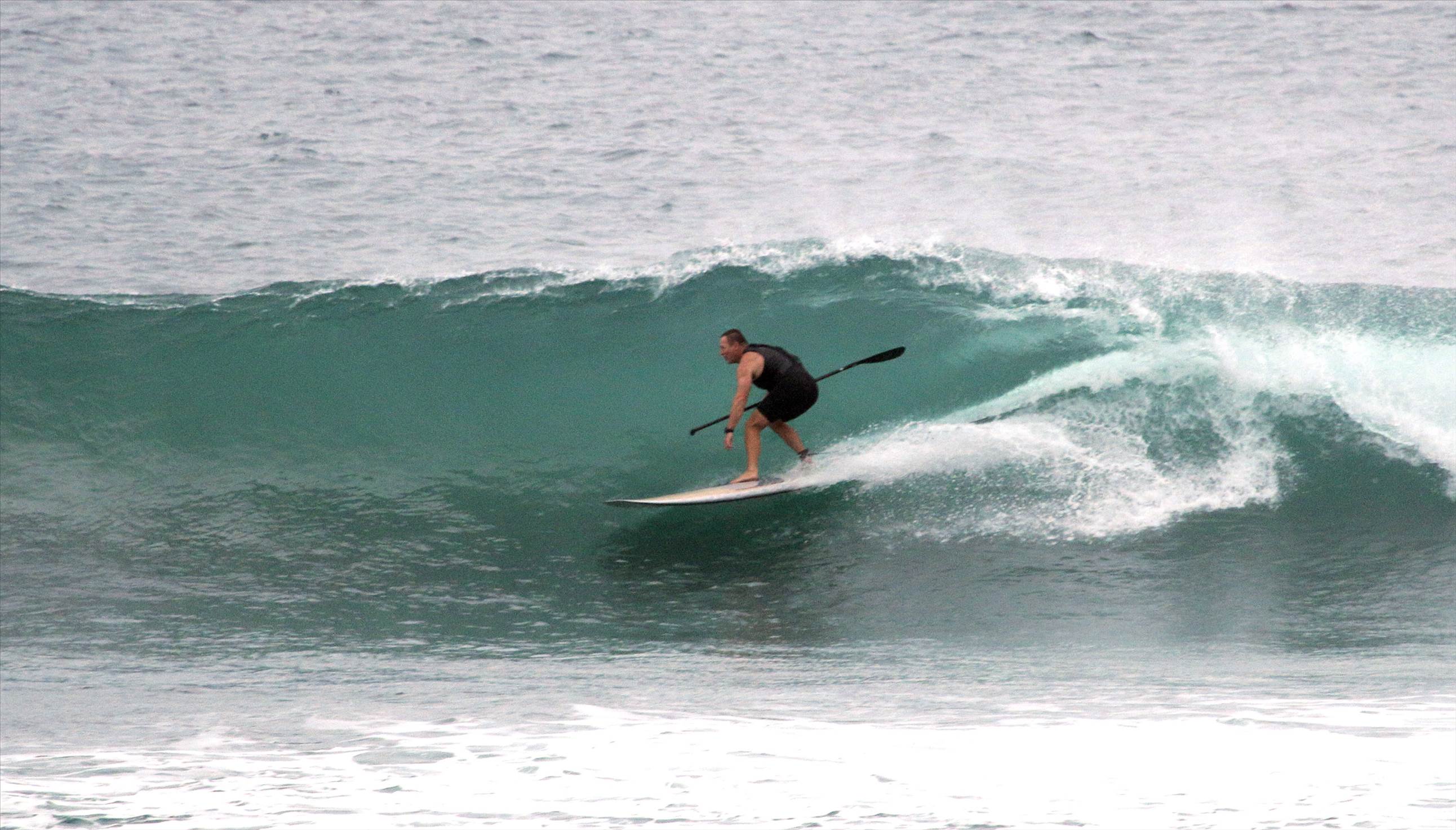 Wave6 - 1