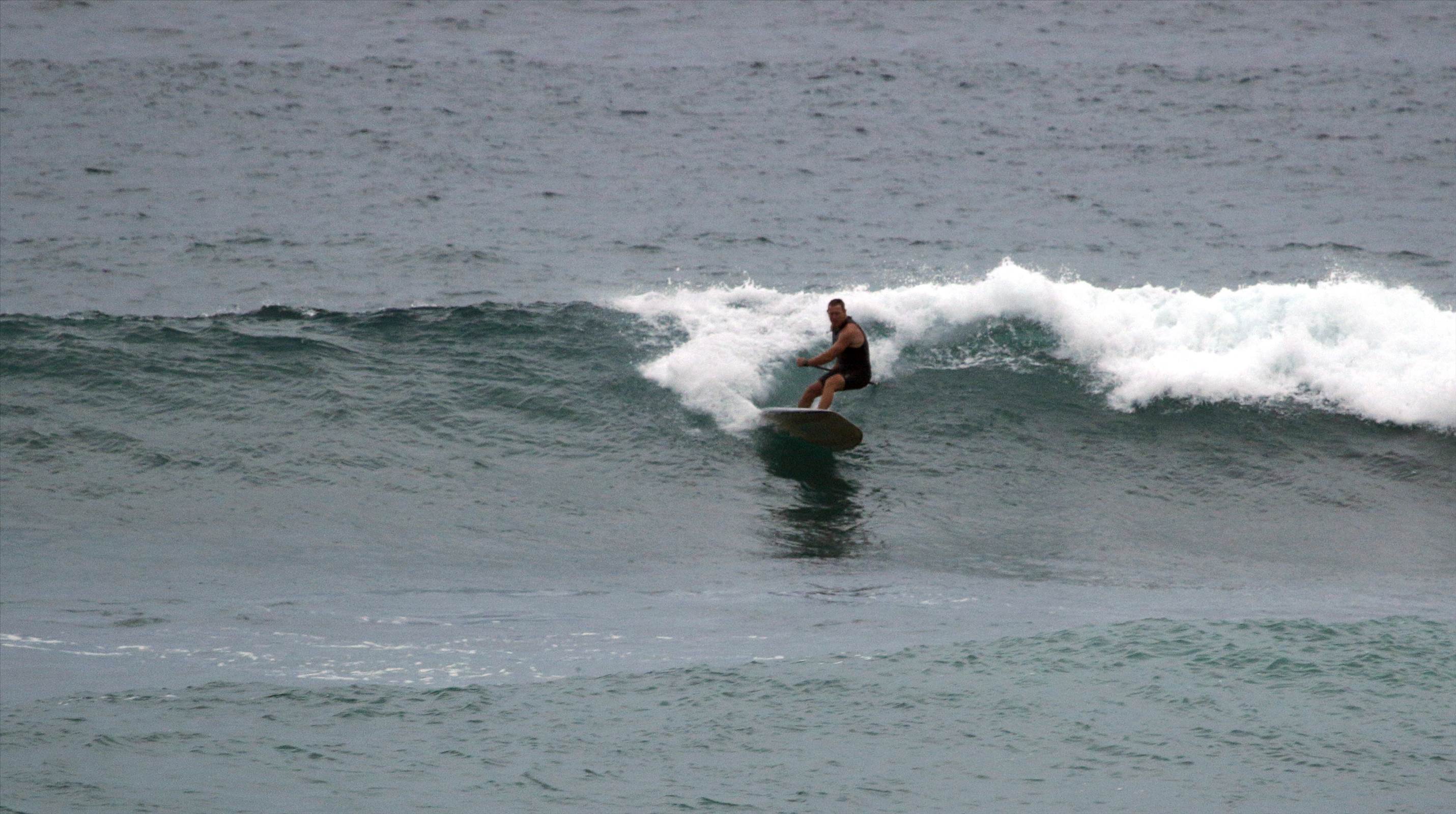 Wave4 - 1