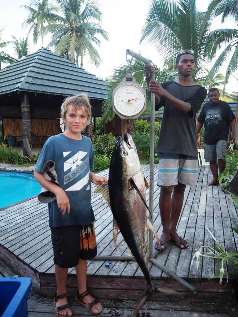 tuna fiji