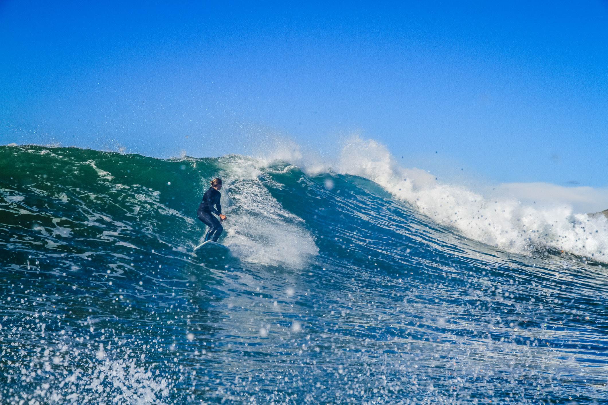 Scotts comp-285