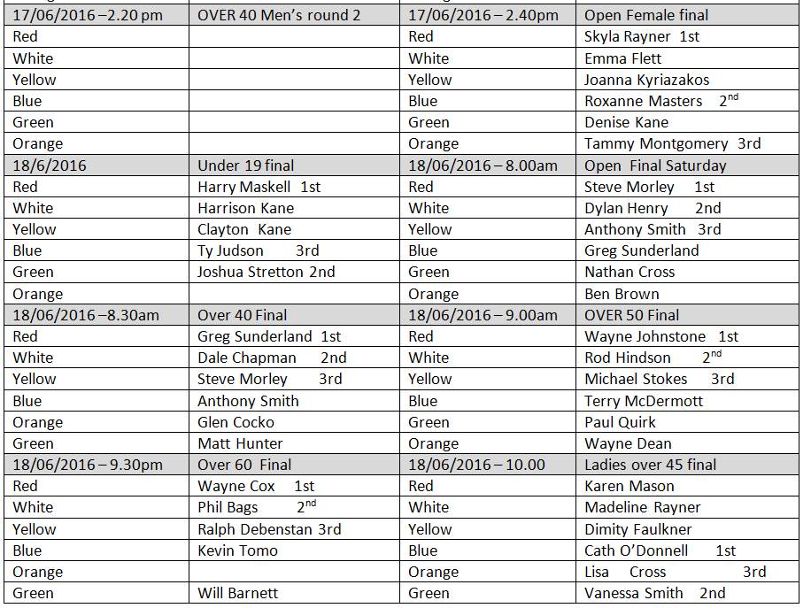 2016 surfing  final results