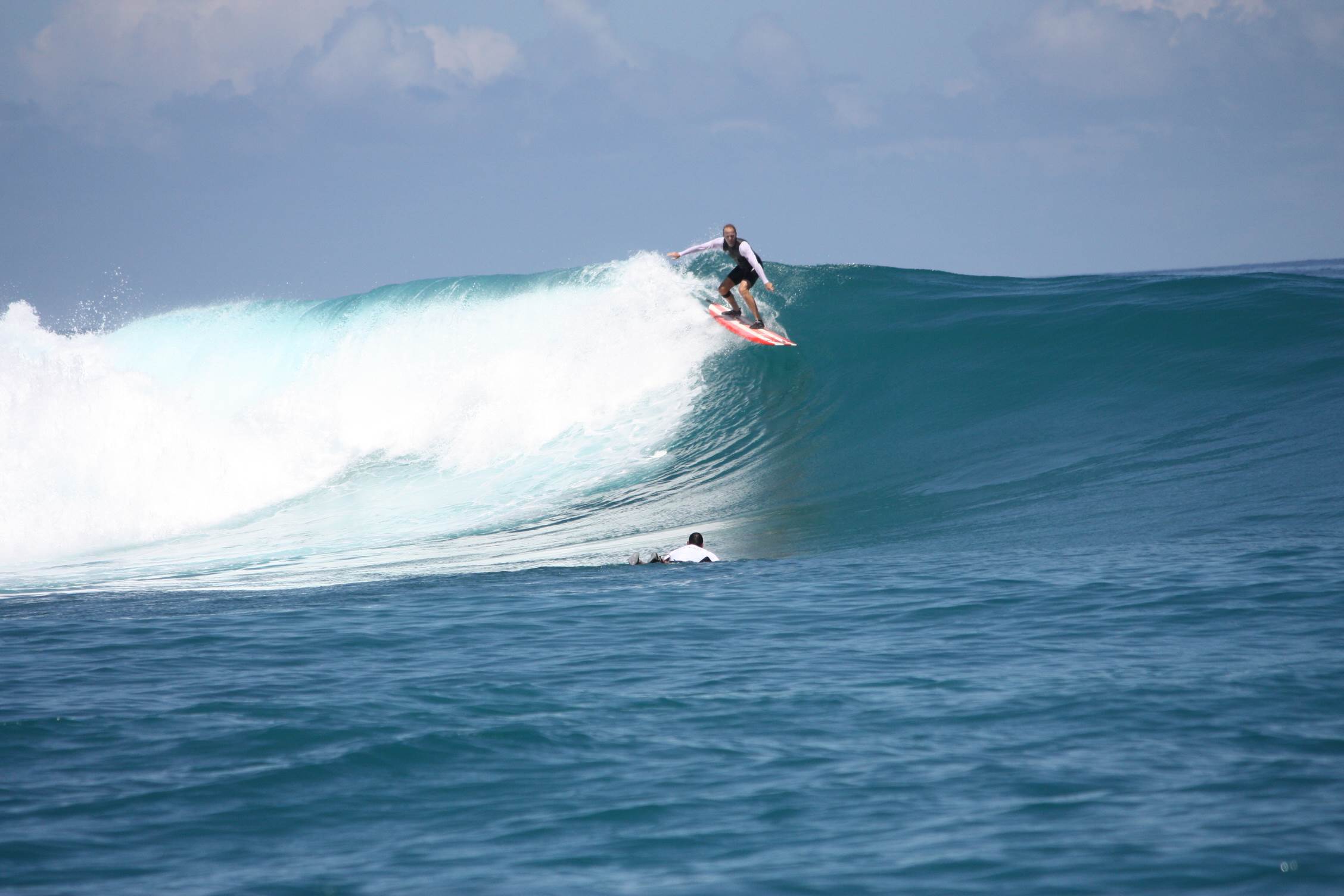 Telo Island
