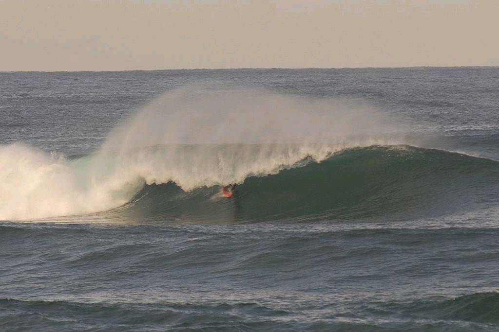 TC longy Bomby 3 copy