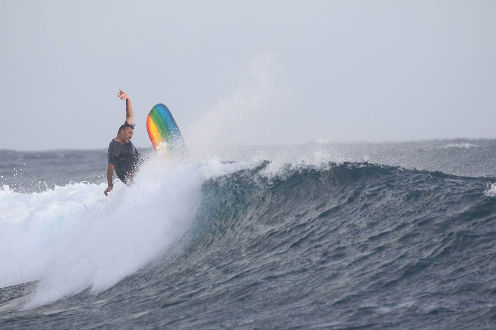 Bert surfer