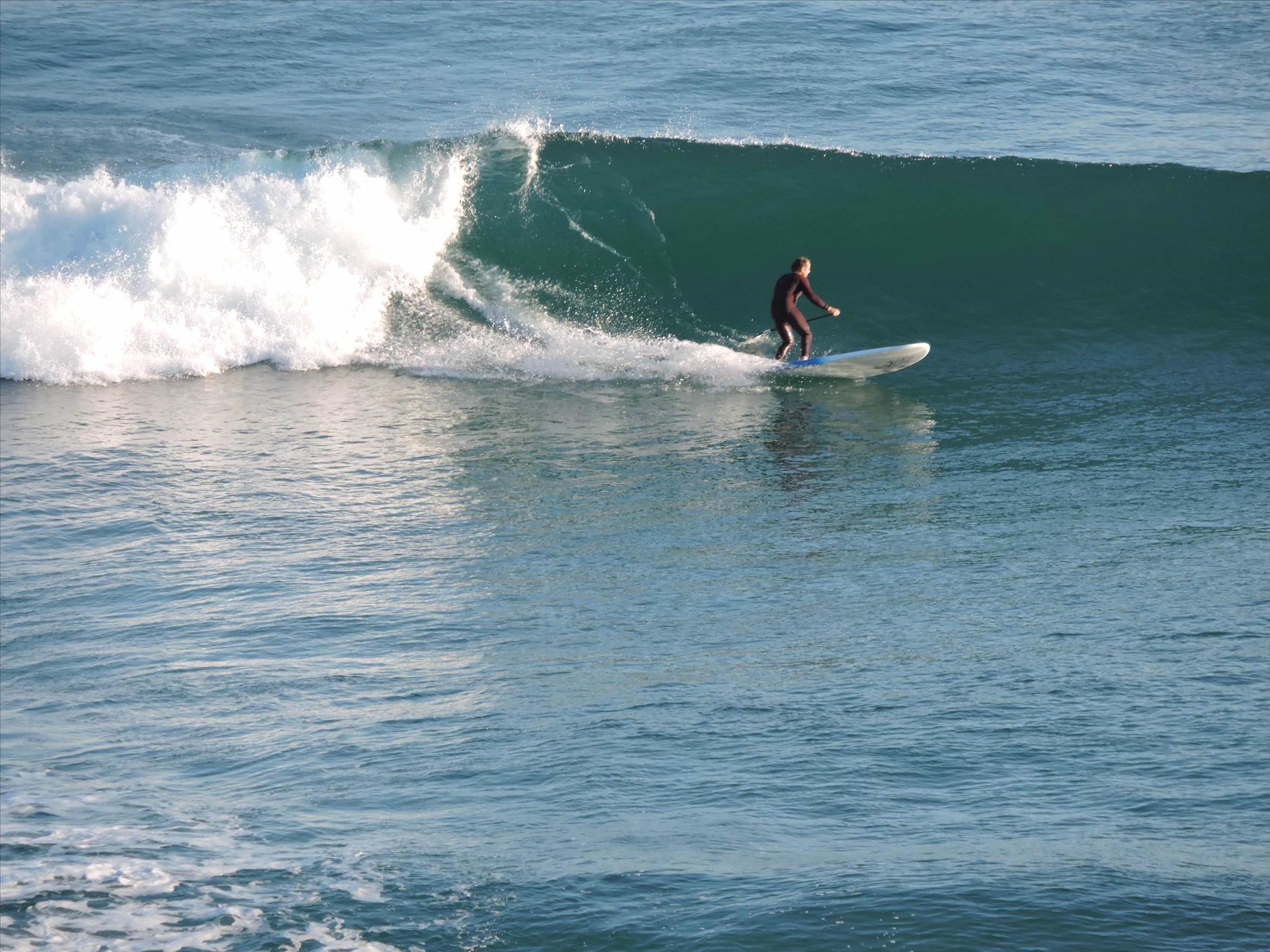 jackreillySUP