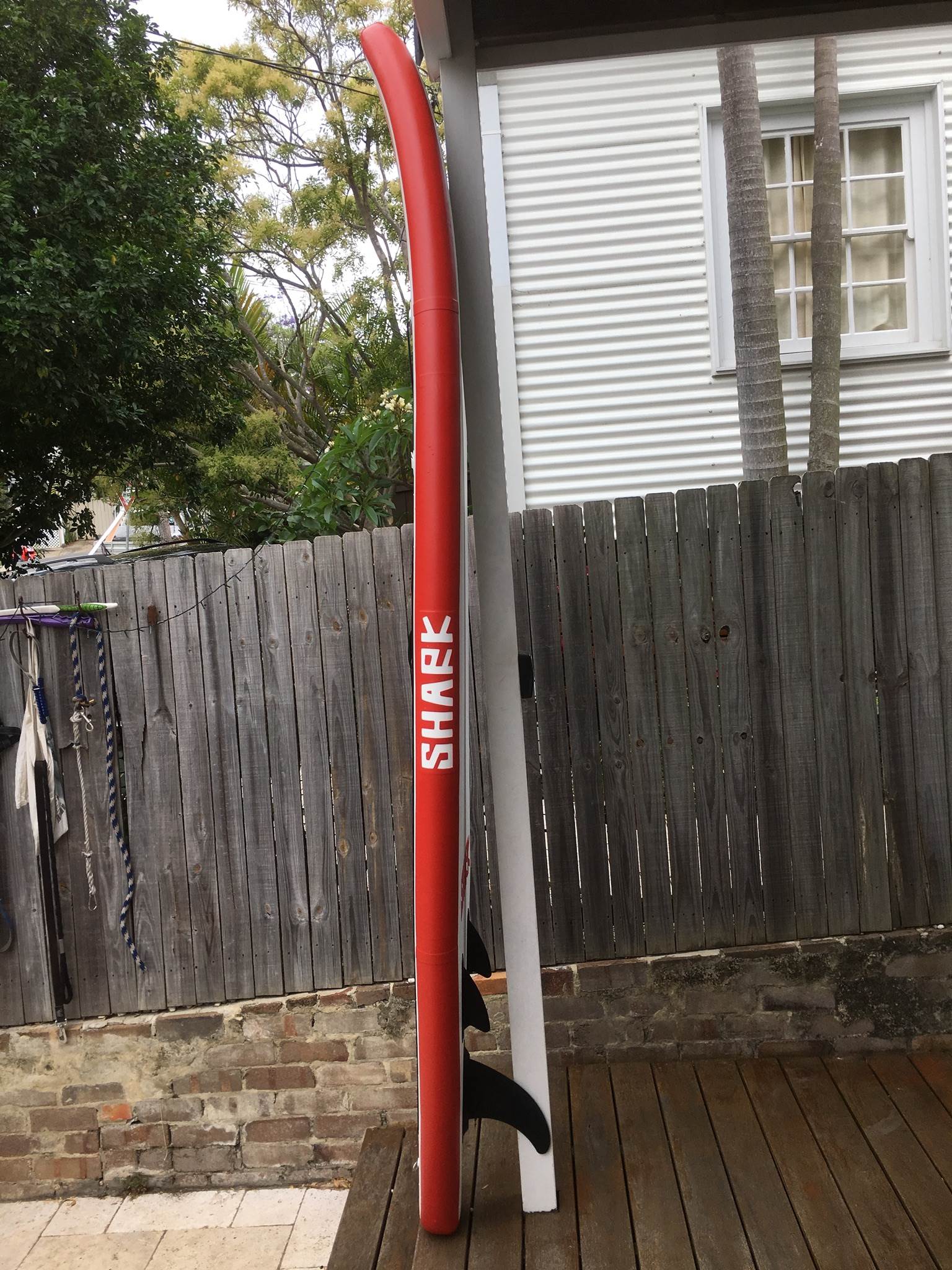 Shark mako 9"8