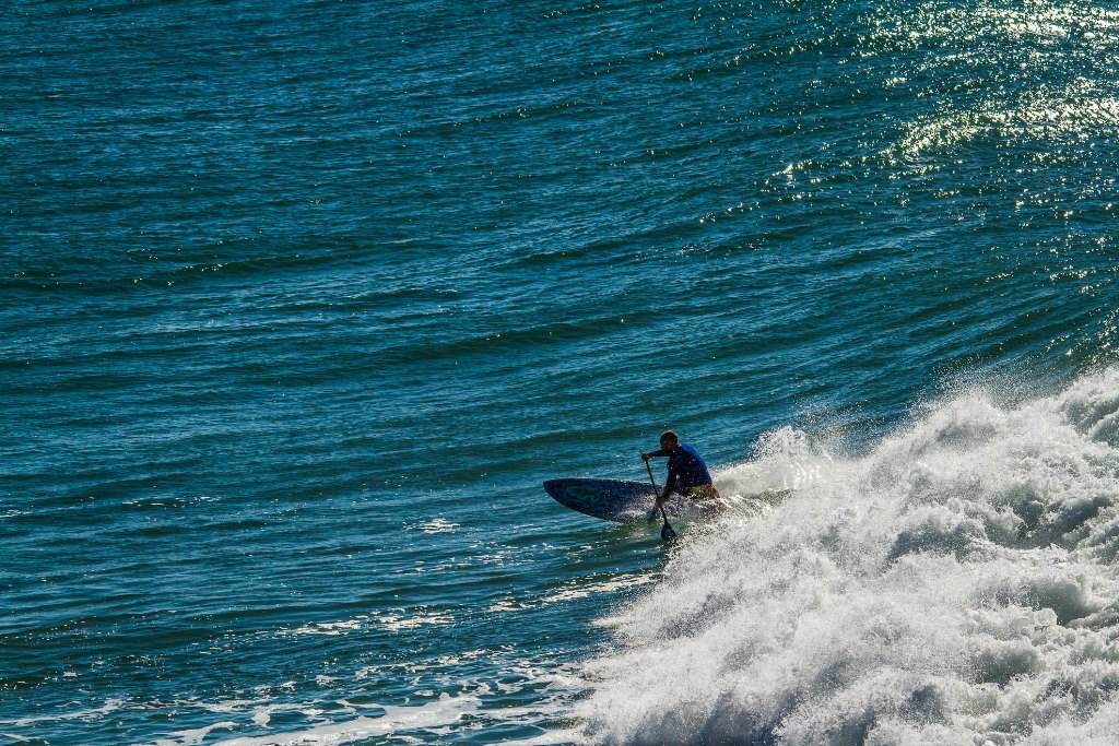Scotts comp-209