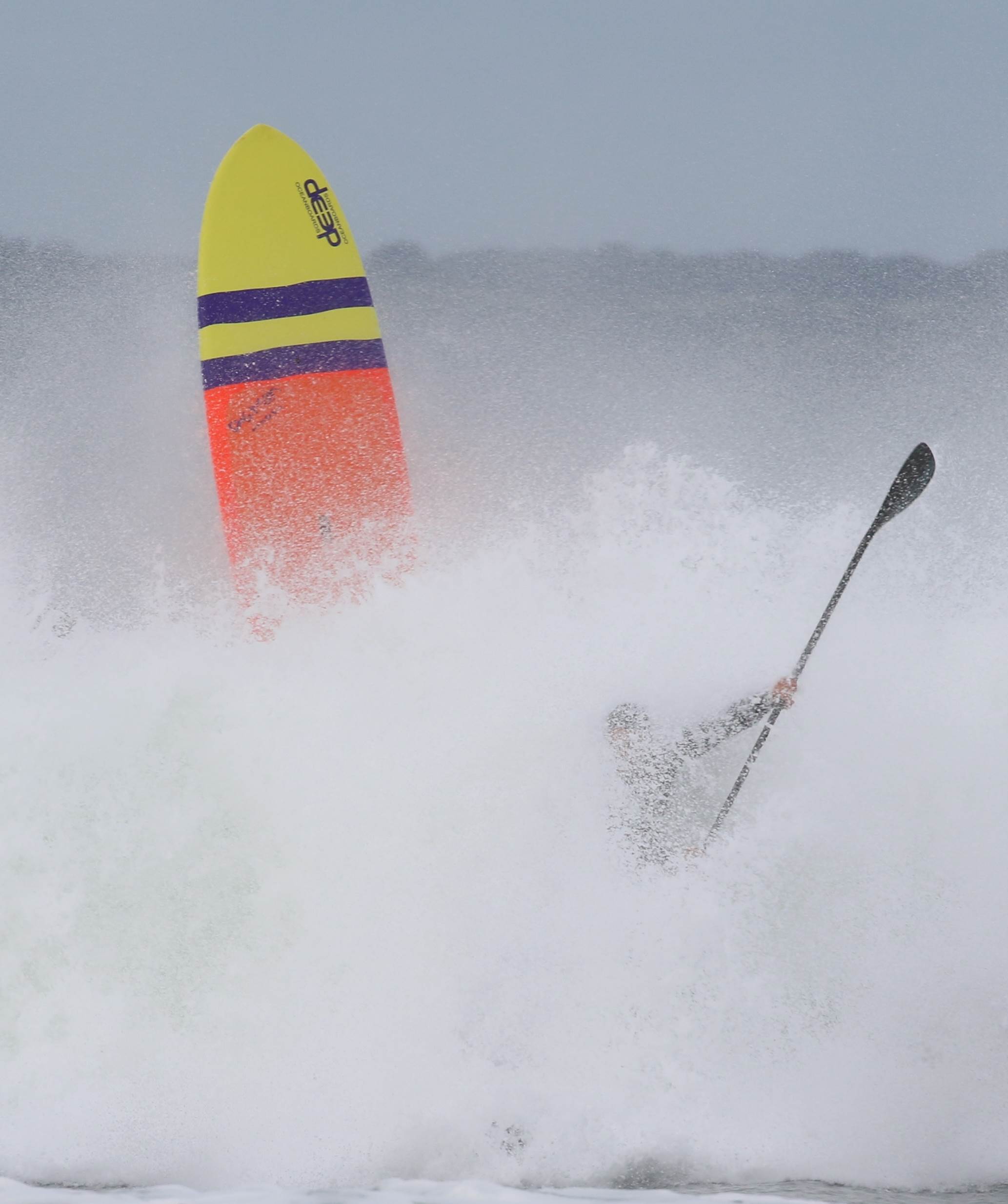 Wipeout Shots