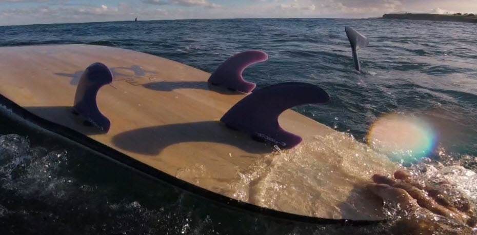 Fins