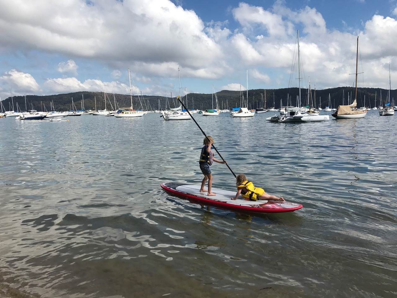Stolen Boards