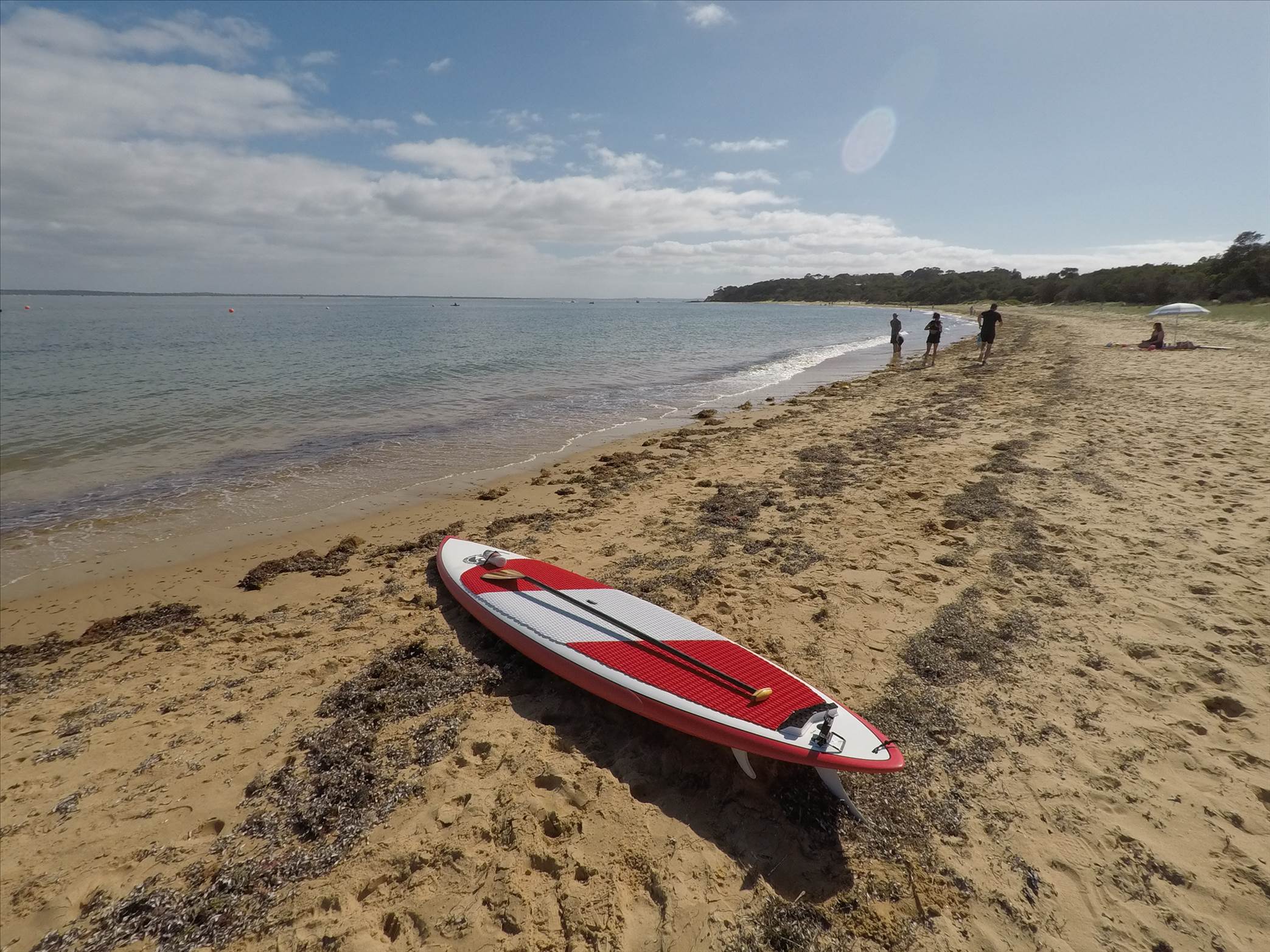 GOPR4011