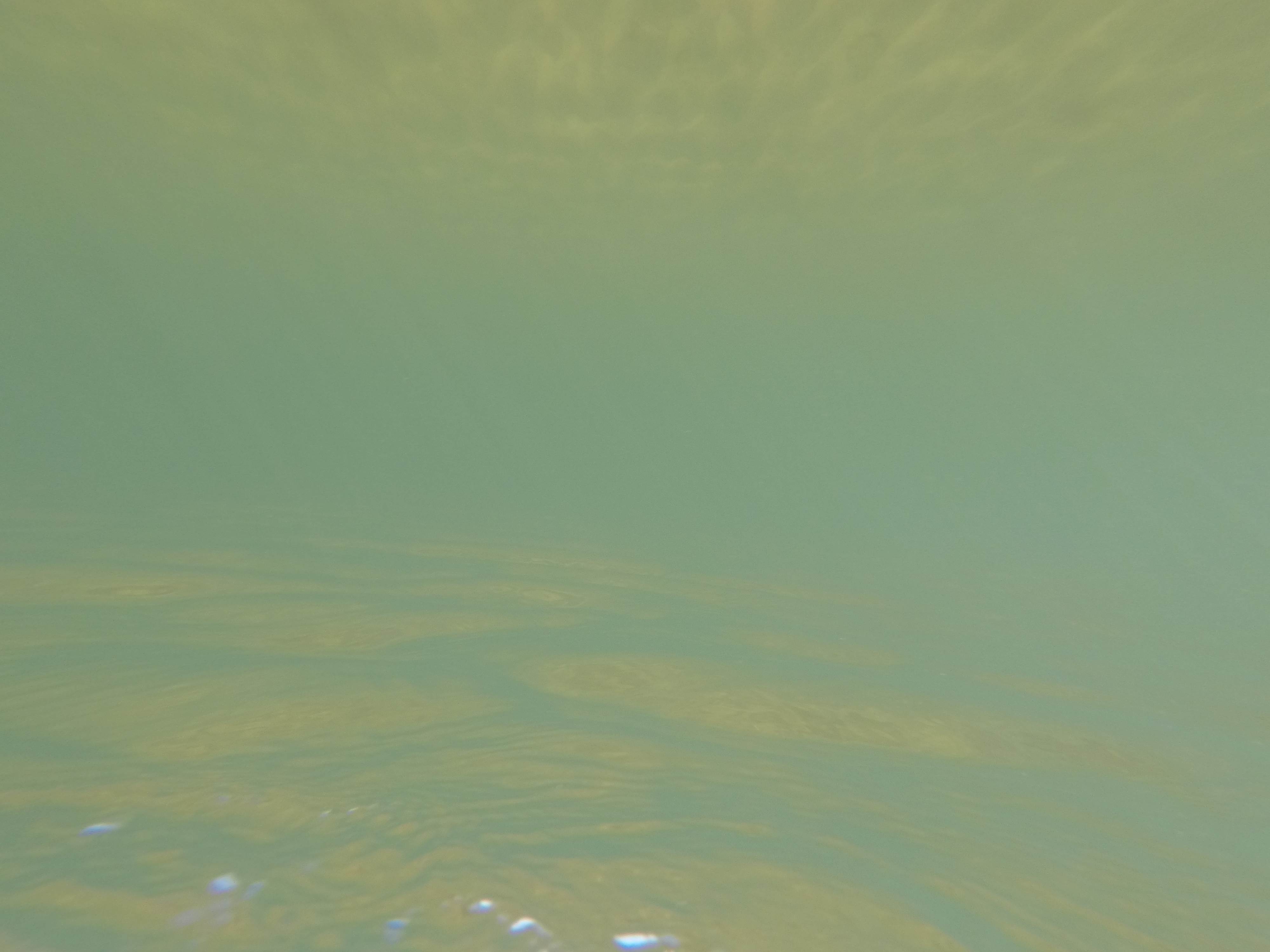 G0139557