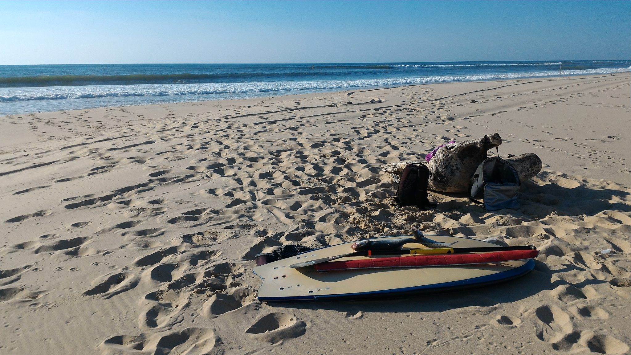 Sup surfing and fishing