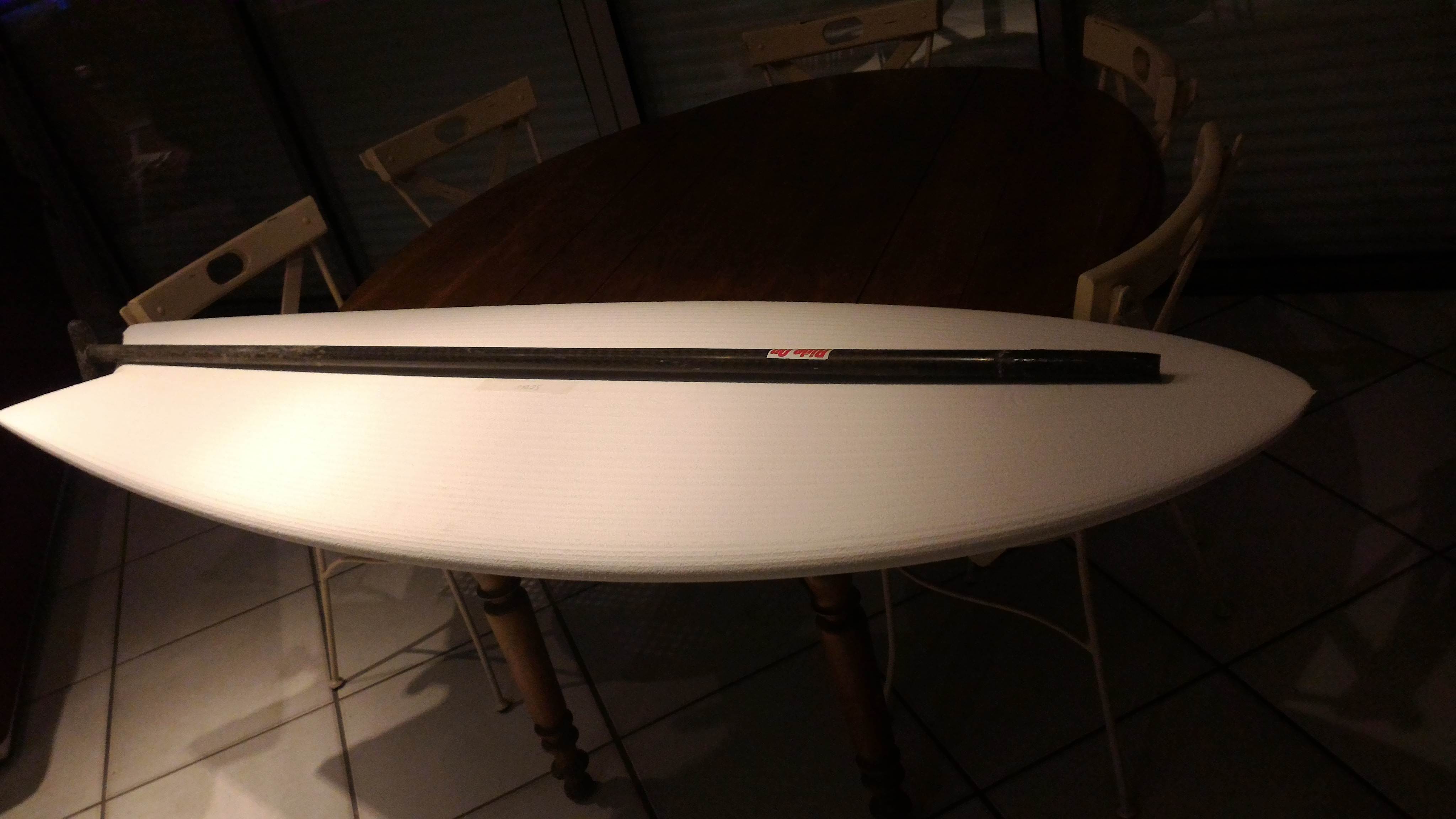 paddle fish