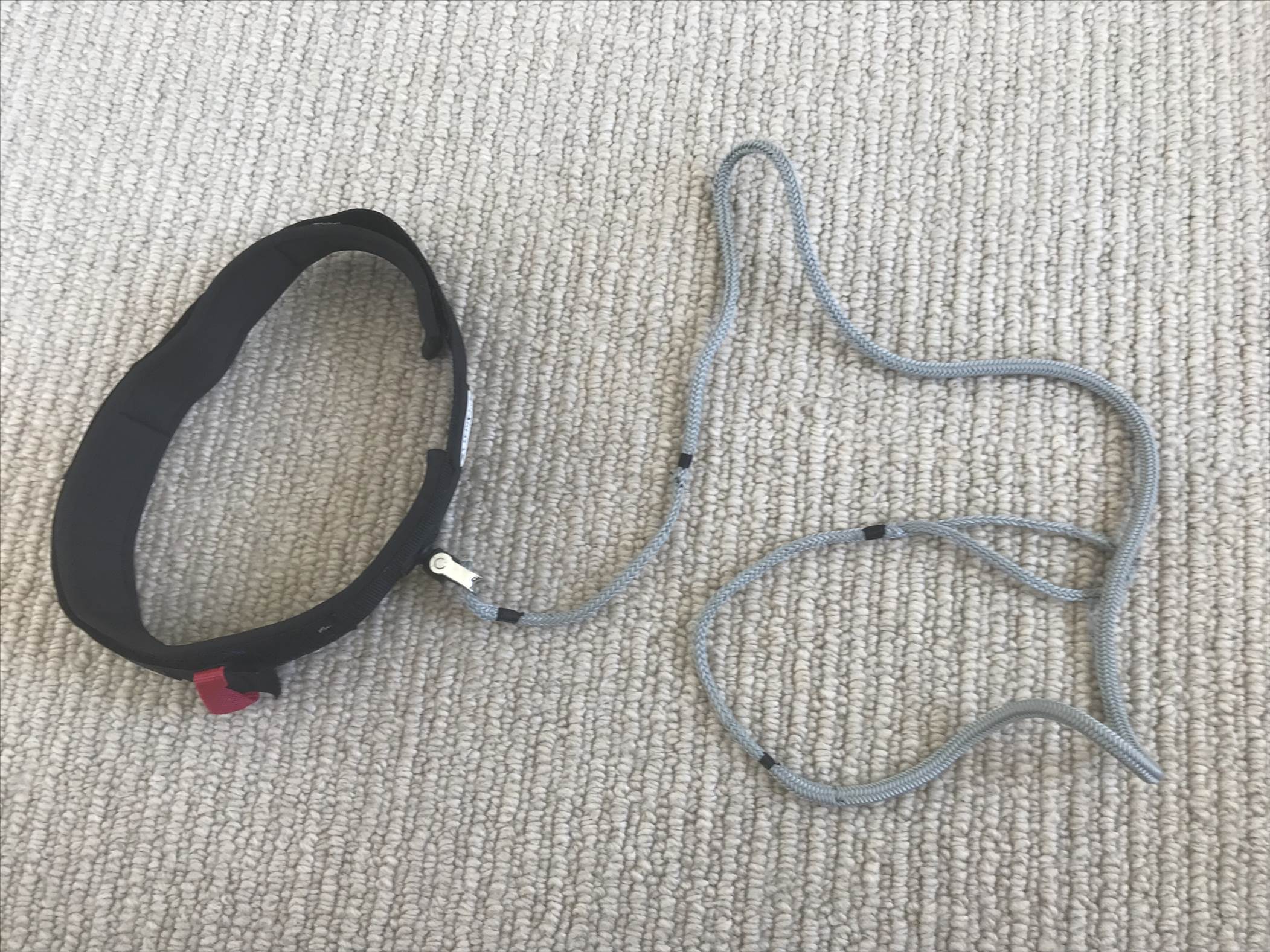 Full leash and photo of bungee inside braid exposed.
