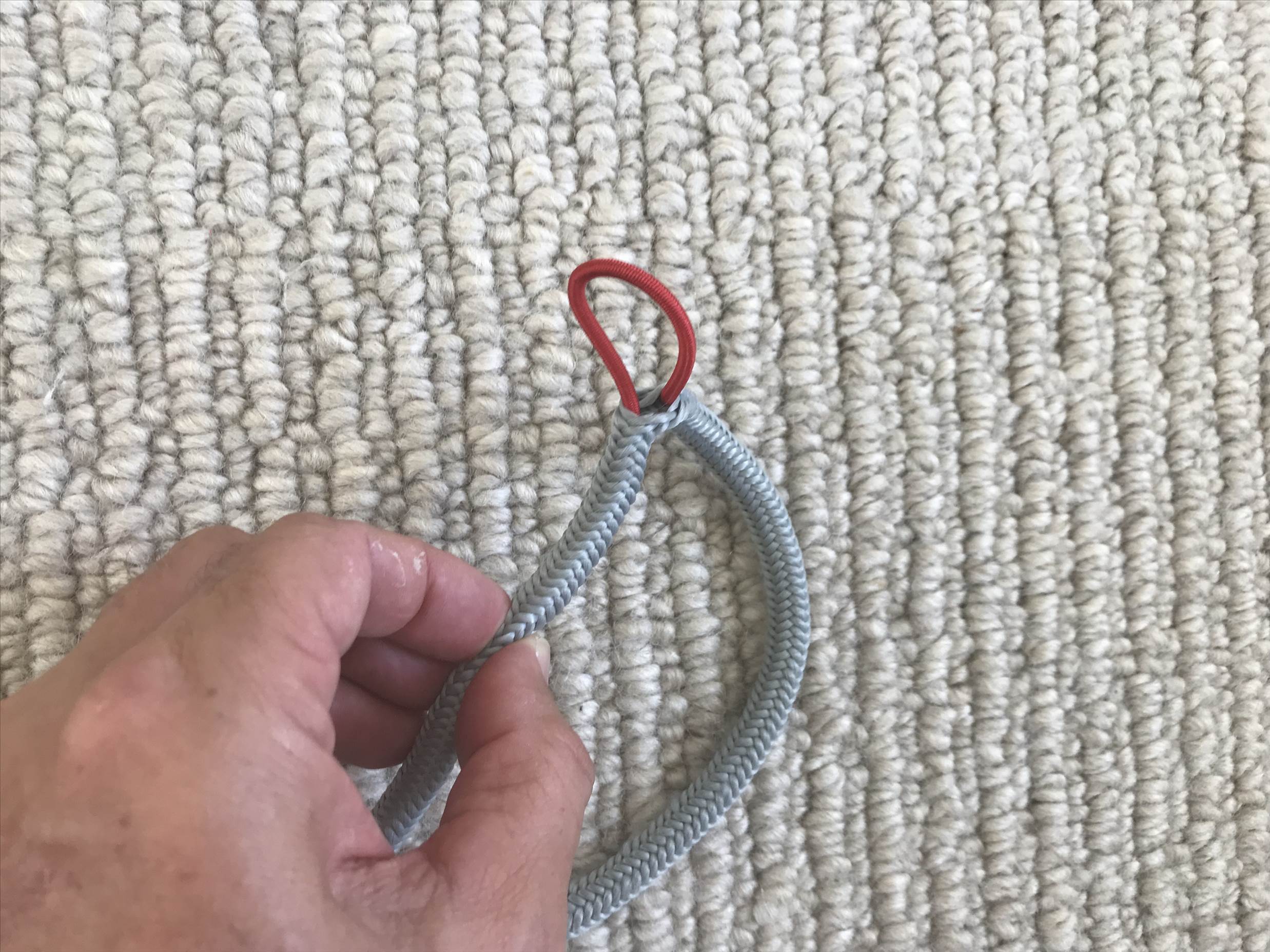 Full leash and photo of bungee inside braid exposed.