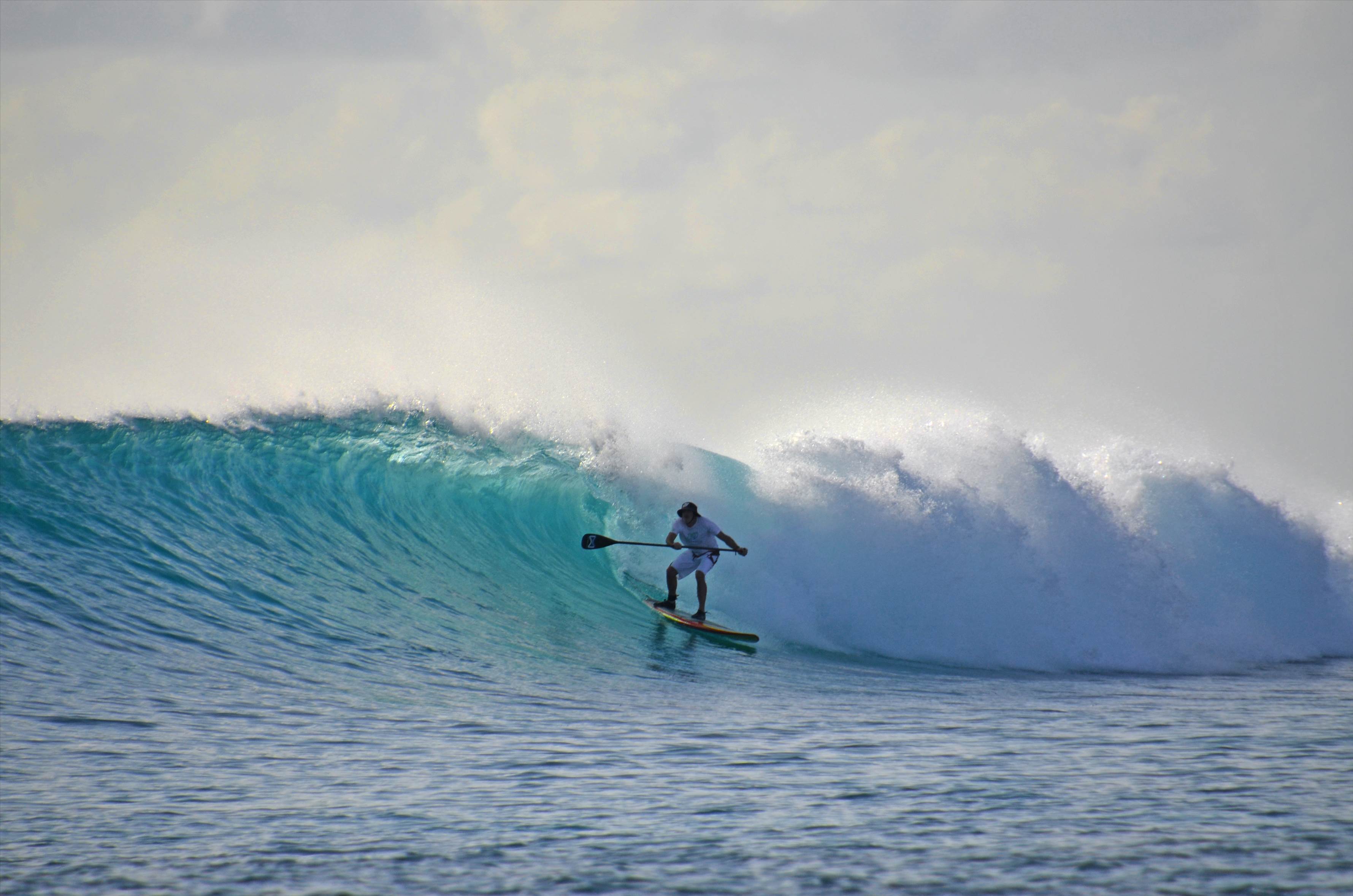 Maldives SUP Surfing