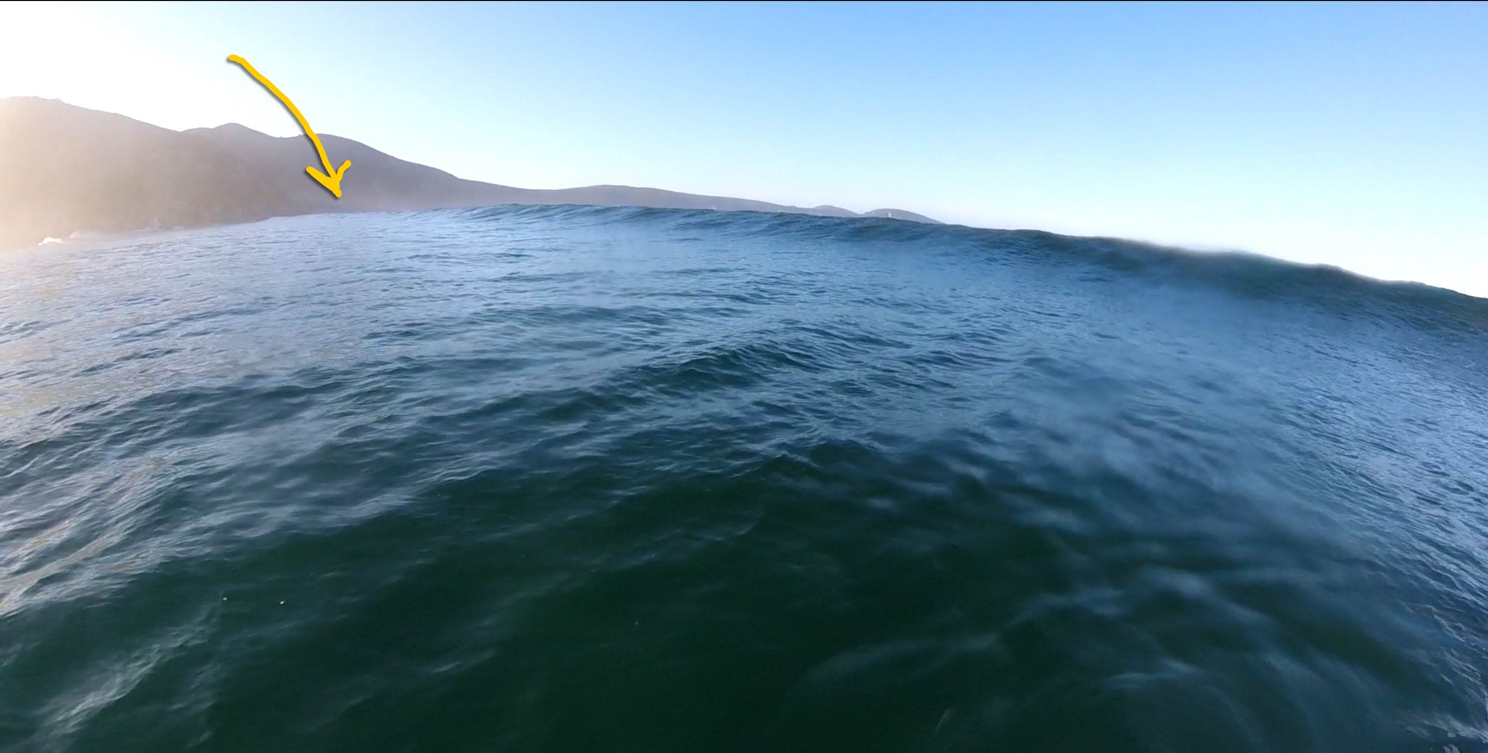 Shark sighting