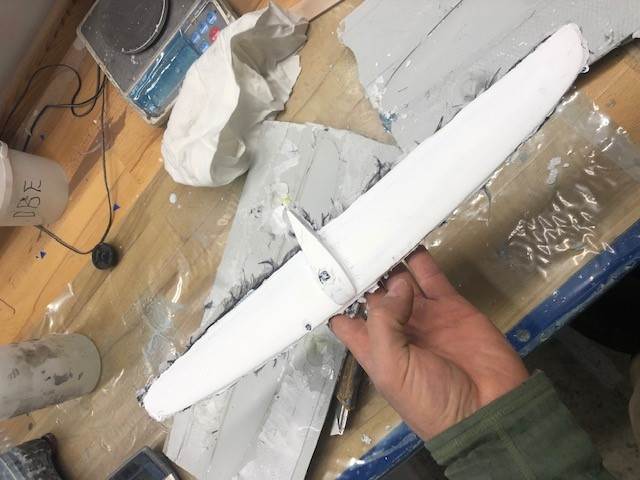 wing1