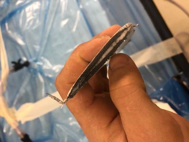 wing2