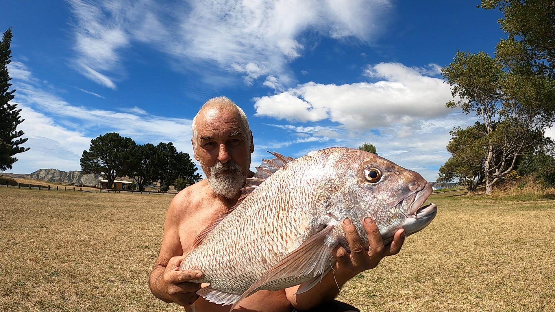 FFish 2