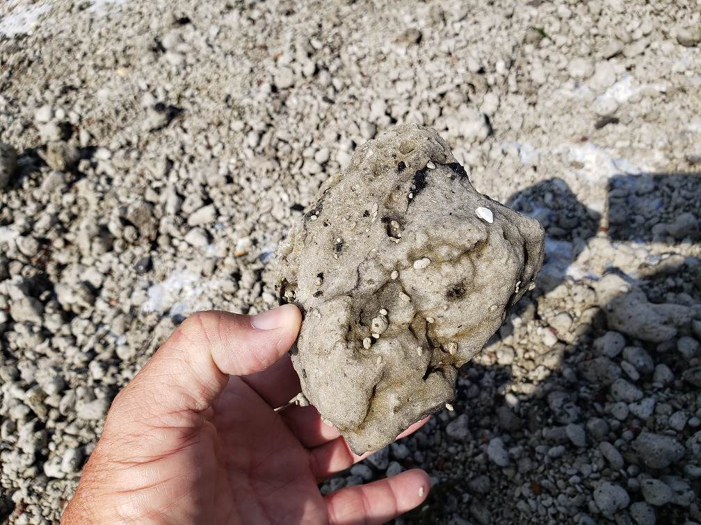 Pumice